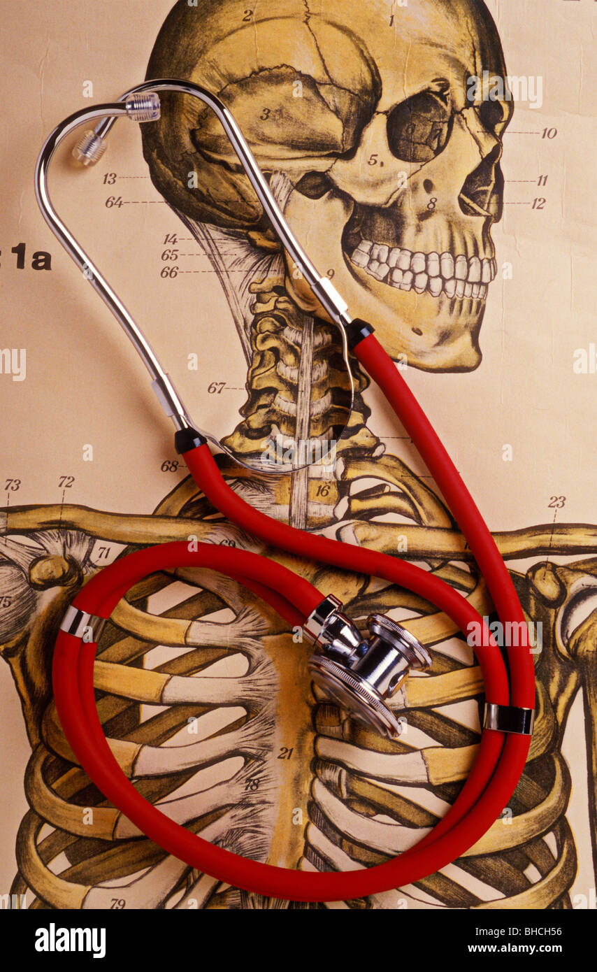 Uno stetoscopio con illustrazione dello scheletro Foto Stock