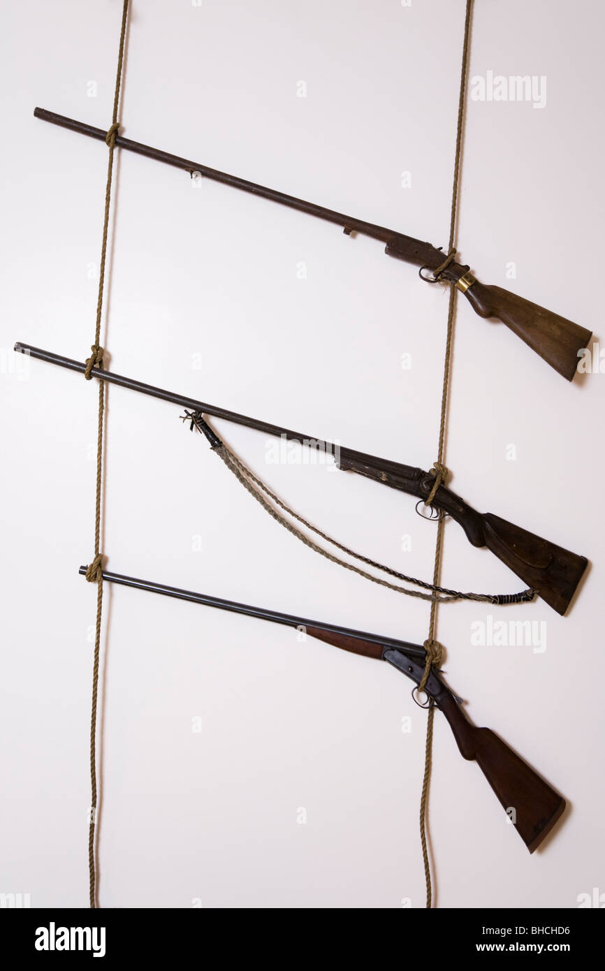 Vecchi fucili da caccia Foto Stock