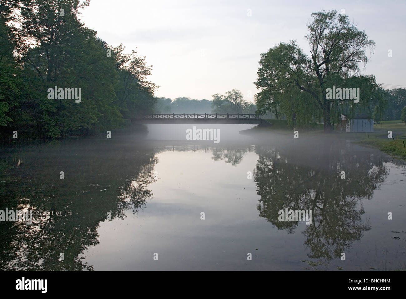 Alberi in mattina presto la luce nella campagna circostante vicino a Philadelphia, Pennsylvania Foto Stock