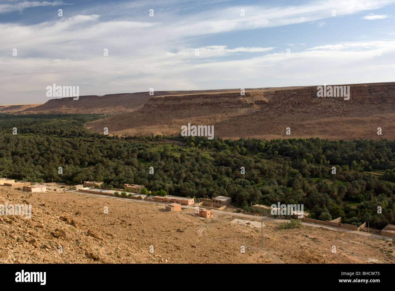 Valle di Ziz data plantation, Marocco. Foto Stock