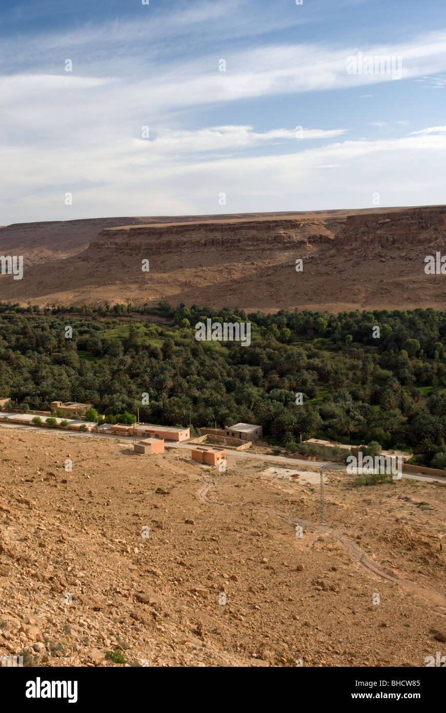 Valle di Ziz data plantation, Marocco. Foto Stock