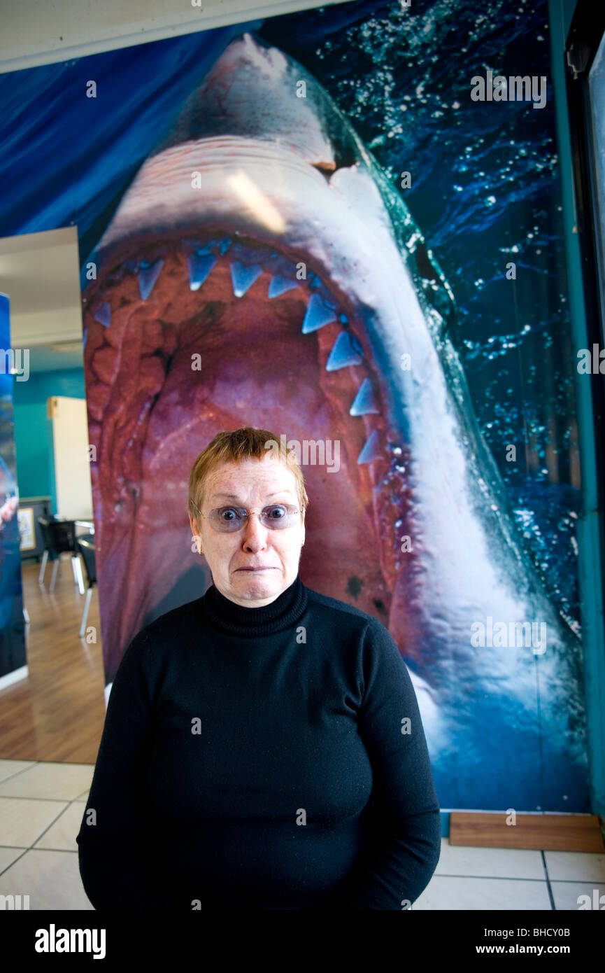 Attacco di squalo Foto Stock