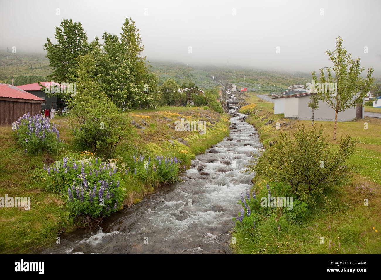 Creek, Eskifjordur,Islanda Foto Stock