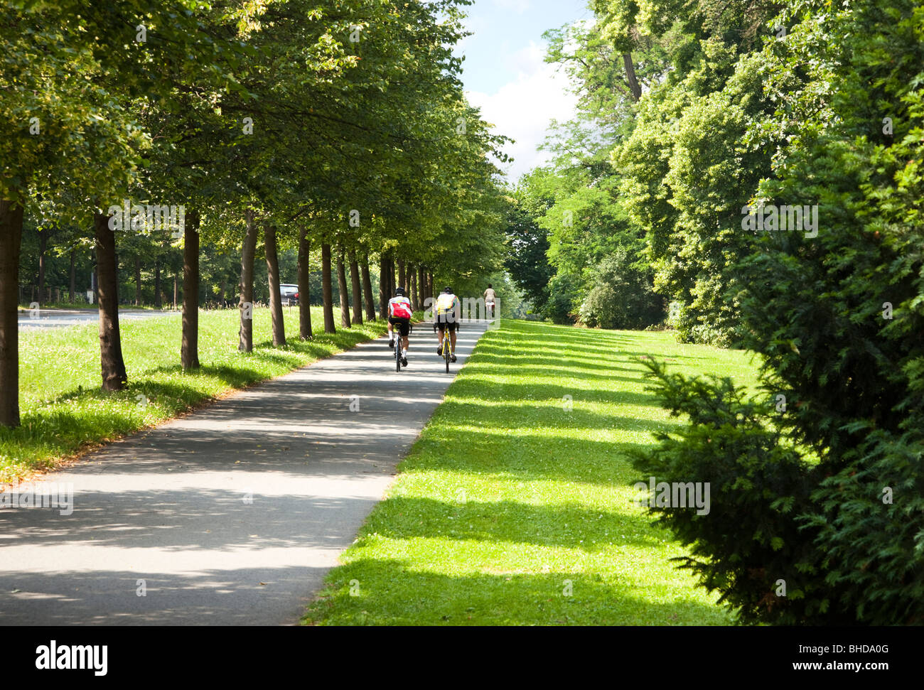 I ciclisti a cavallo su un percorso ciclabile sul bordo del parco della città di Weimar, Germania, Europa Foto Stock