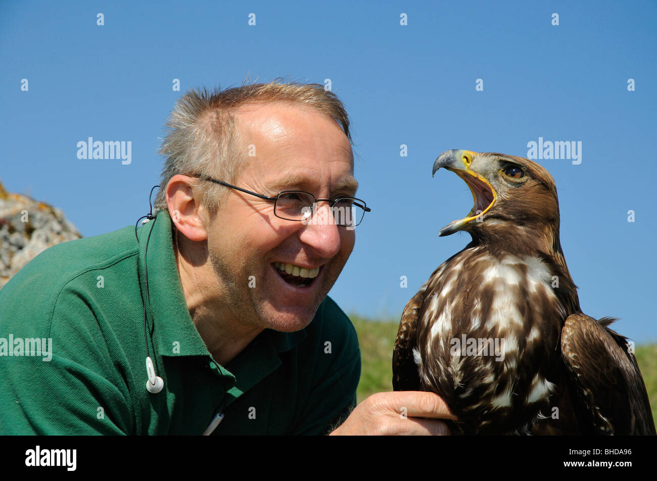 Falkner jungem mit Steinadler (Aquila chrysaetos) Falconer con giovani Golden Eagle • Baden-Wuerttemberg; Deutschland; Germania Foto Stock