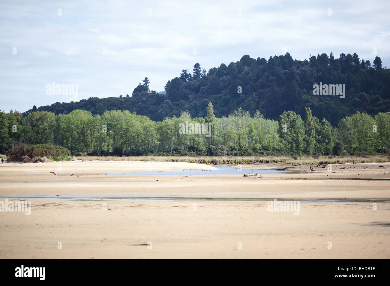 Parco Nazionale di Abel Tasman, Isola del Sud, Nuova Zelanda Foto Stock