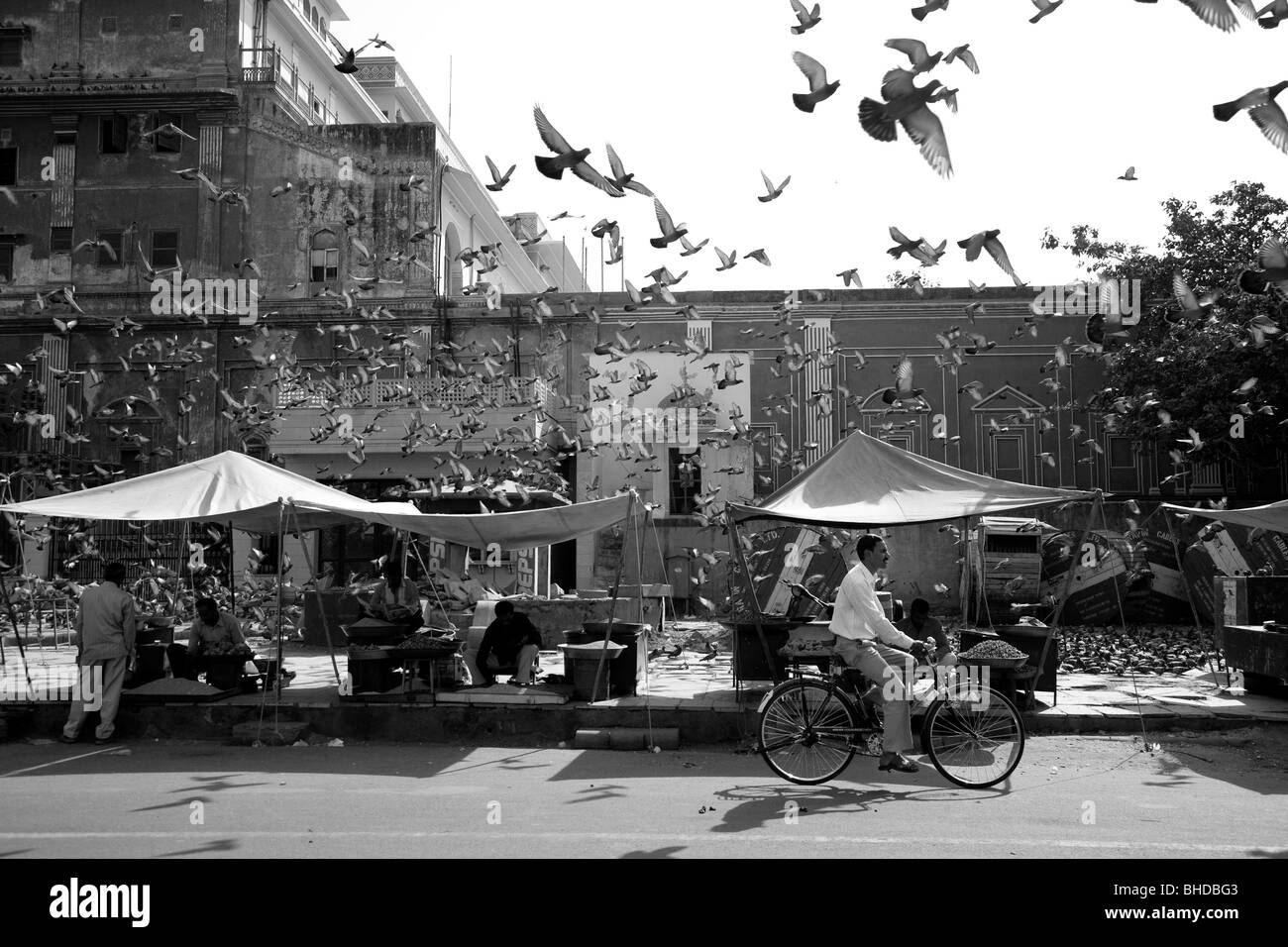 Scena di strada e Piccioni in volo a Jaipur, India Foto Stock