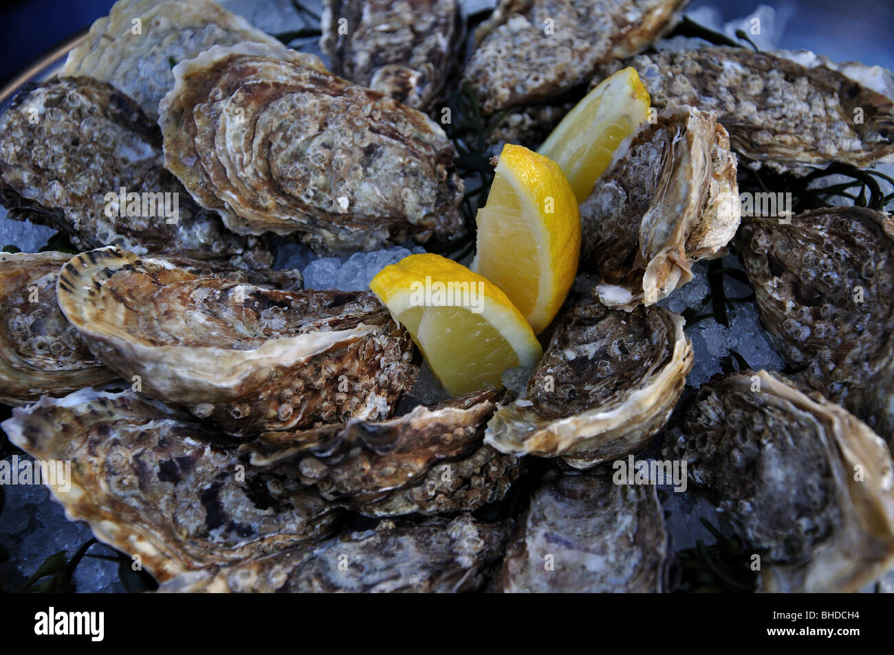 Ostriche fresche nel ristorante, High Street, Windsor, Berkshire, Inghilterra, Regno Unito Foto Stock