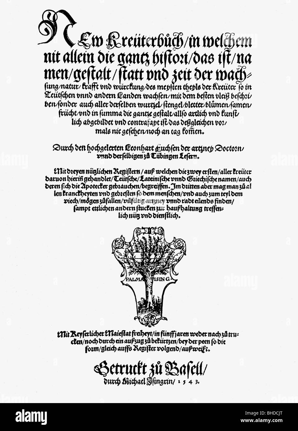 Fuchs, Leonhart, 17.1.1501 - 10.5.1566, medico tedesco, autore/scrittore, pagina del suo libro di piante, Foto Stock