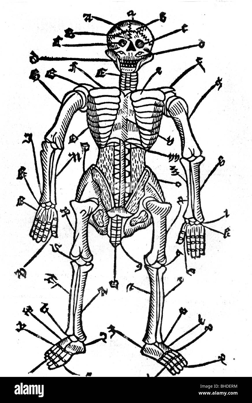 Medicina, anatomia, scheletro, alle opere di Valescus di Tarent, woodcut, circa 1500, Foto Stock
