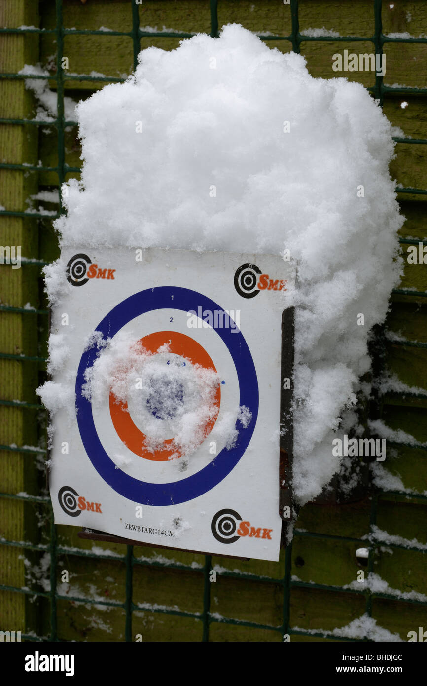 Air Rifle target ricoperta di neve Foto Stock