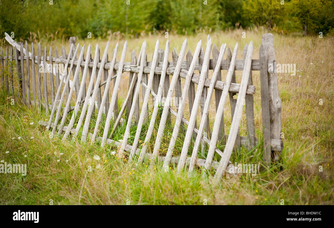 Staccionata in legno in corrispondenza del bordo della foresta, in campagna Foto Stock