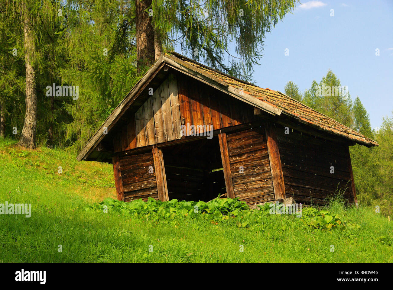 Almhütte - chalet 03 Foto Stock