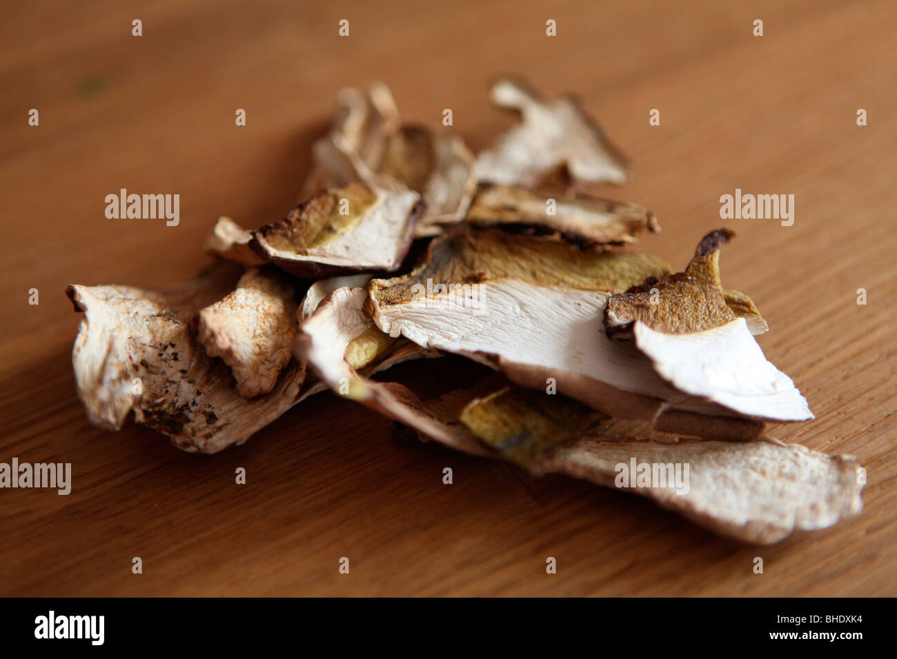 funghi secchi Foto Stock