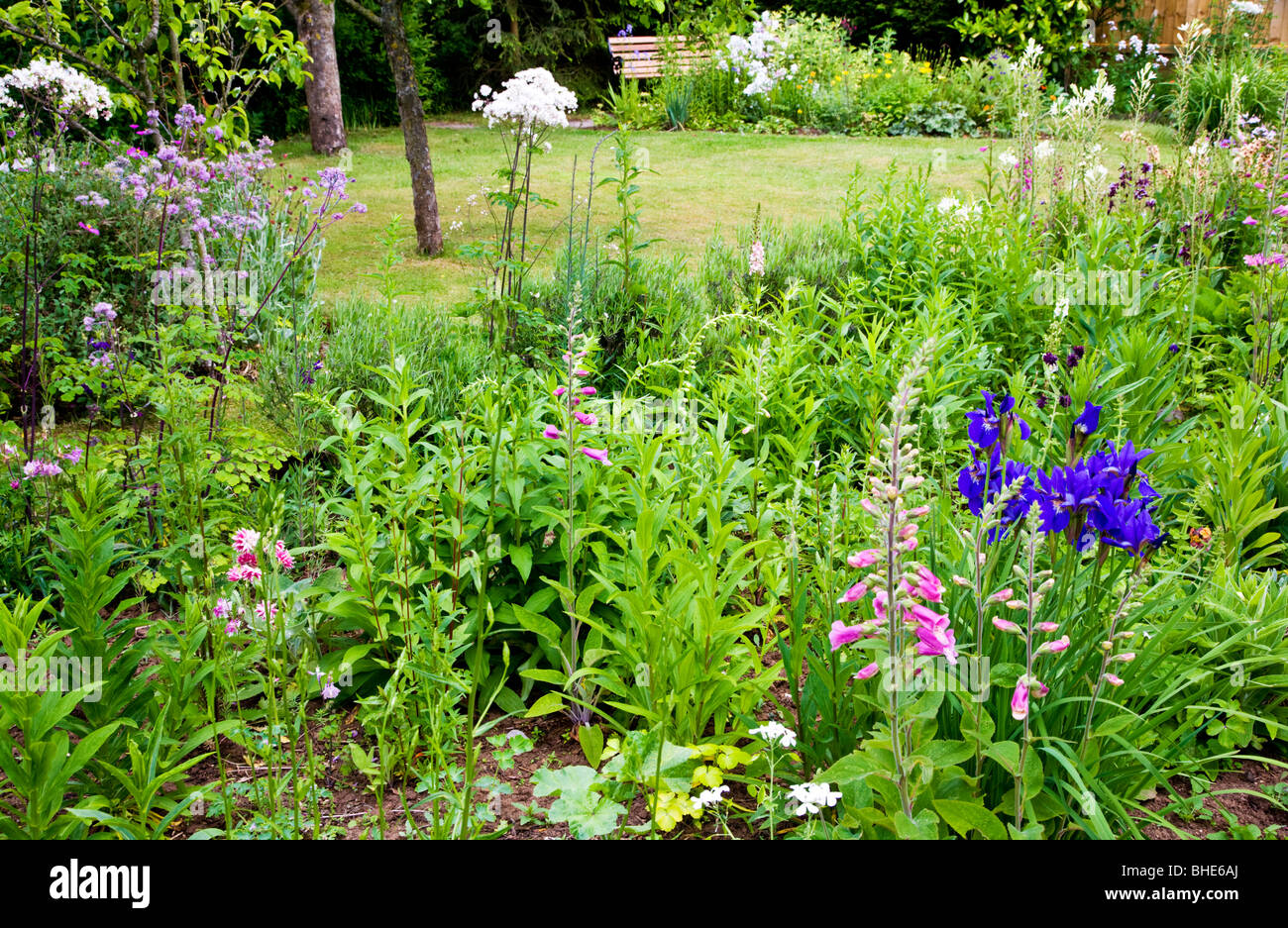 Tipica cittadina inglese, suburbane o country garden verso la fine di maggio Foto Stock