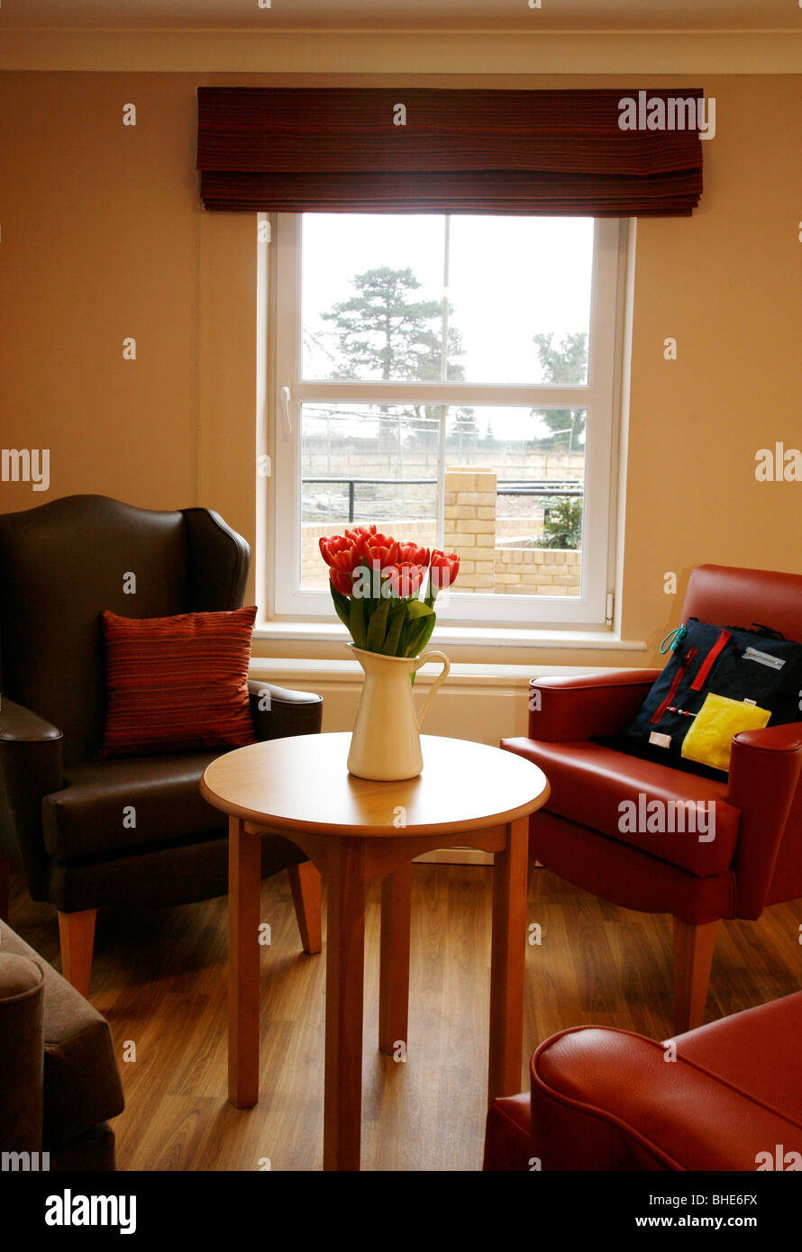 Salotto con tavolo e sedie e fiori Foto Stock