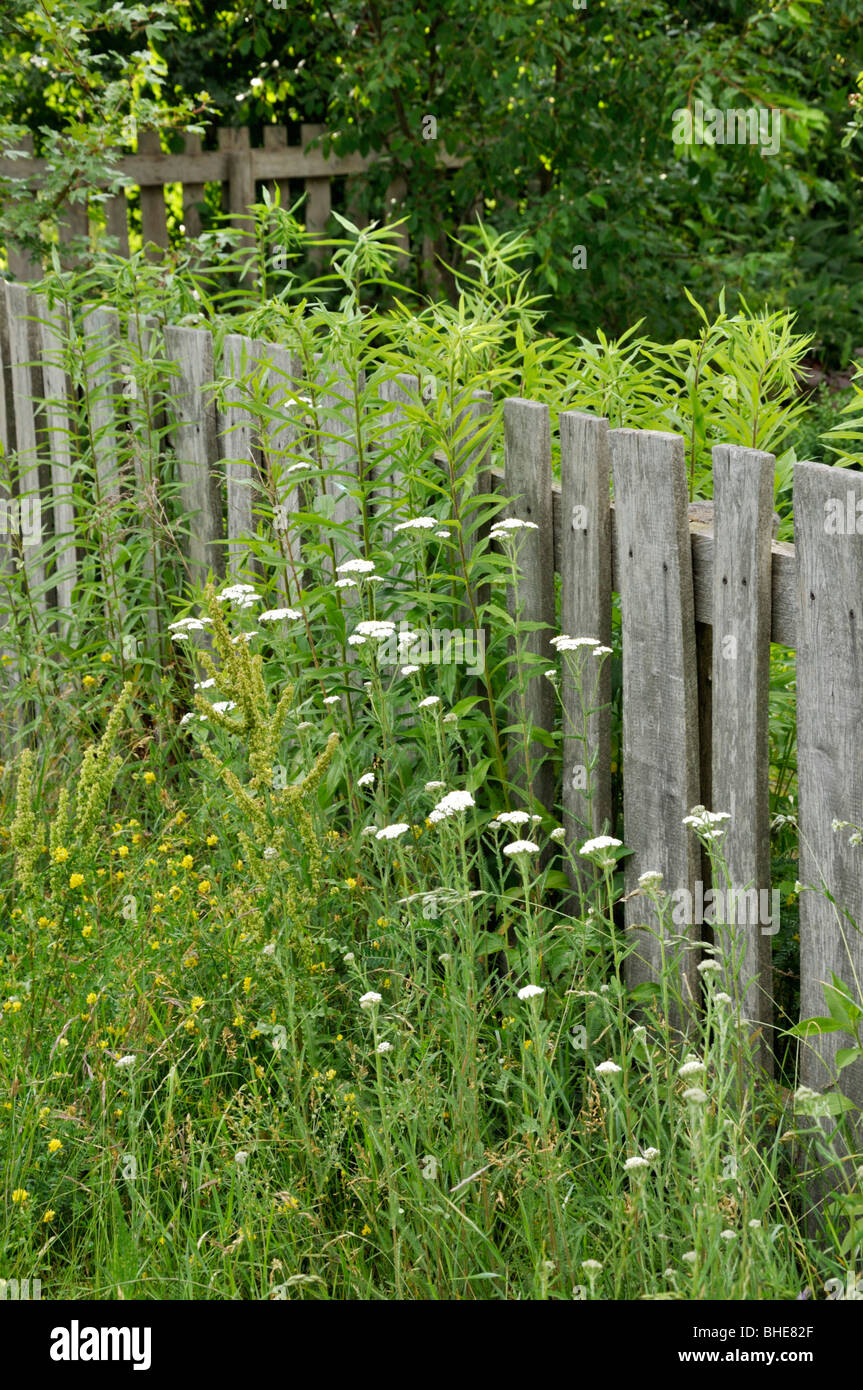 Legno Recinzione da giardino Foto Stock