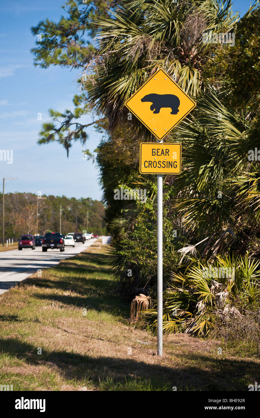 Central FL - Nov 2008 - Segnaletica Stradale avvisa di orsi attraversando la strada nella Florida centrale vicino a Sanford, Florida Foto Stock