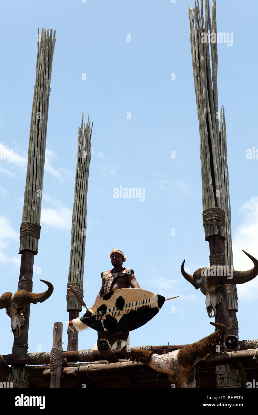 Un uomo zulu con uno scudo in abito tradizionale stand su un punto di osservazione in un tradizionale villaggio Zulu in Sud Africa Foto Stock