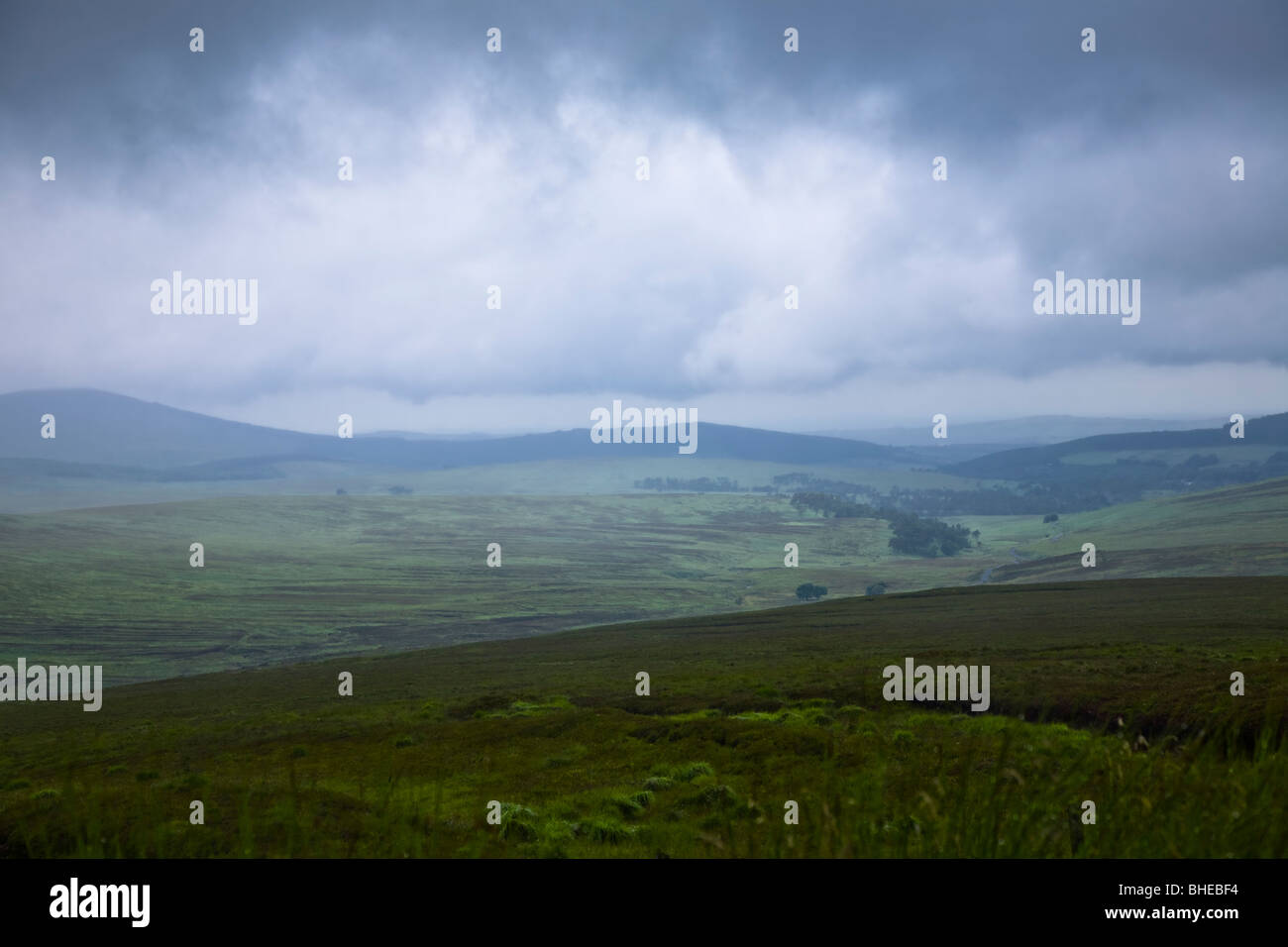Le brughiere di Wicklow Mountains, Irlanda. Foto Stock