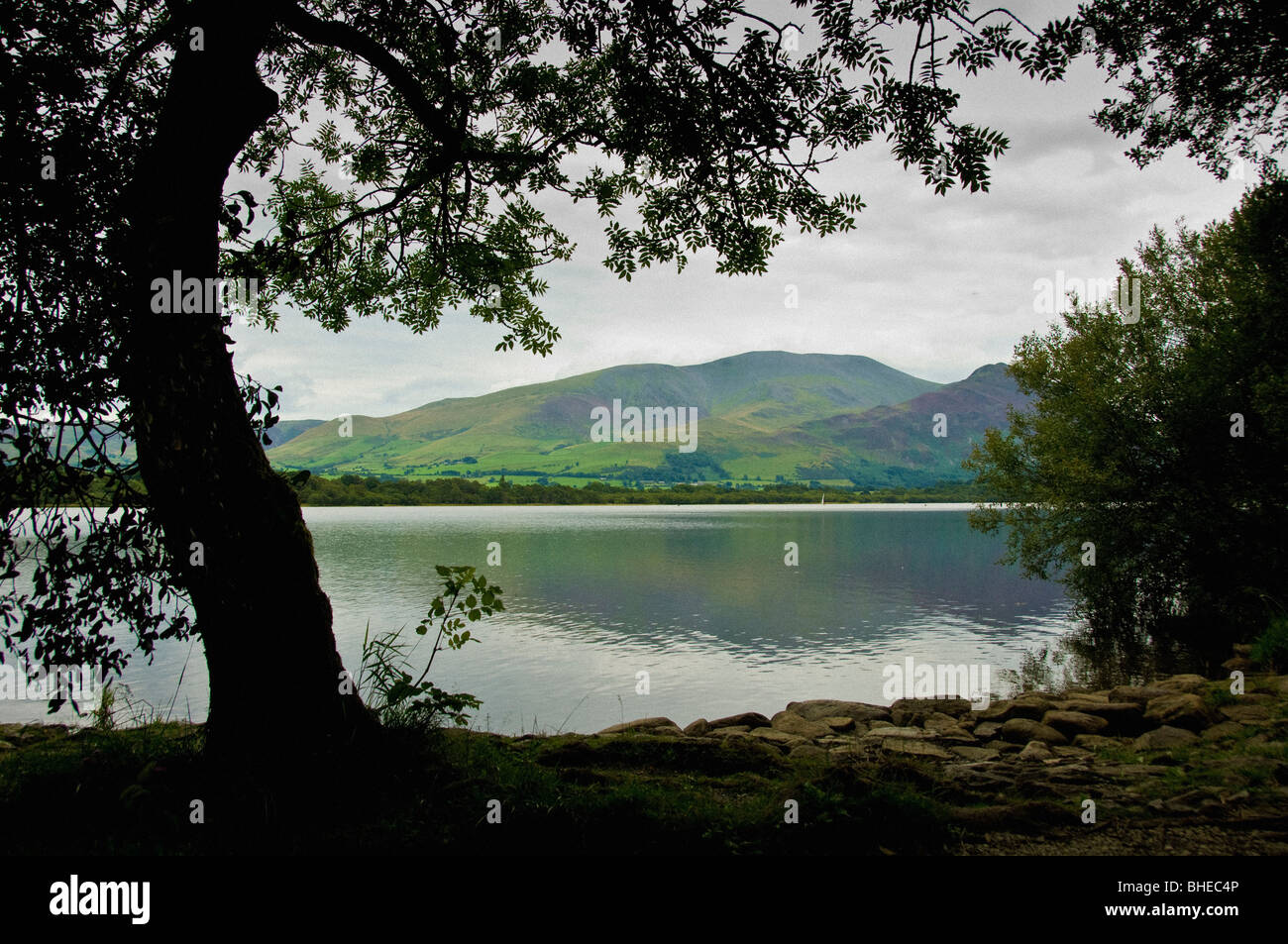 Vista attraverso gli alberi attraverso il lago Bassenthwaite, Cumbria. Ullock Pike e Skiddaw in distanza. Foto Stock