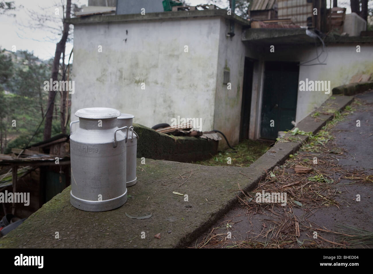 Bidoni per il latte al di fuori di una piccola casa a Madera in attesa di raccolta Foto Stock