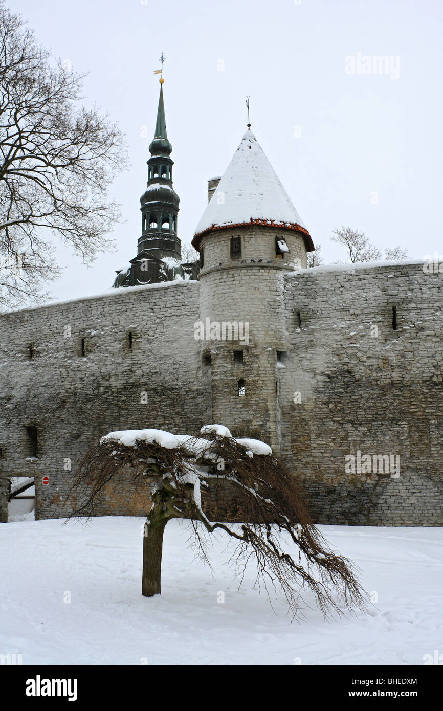 Pareti in pietra e le torri in il giardino del re danese, forma le difese medievale nel distretto di Toompea, la città vecchia di Tallinn, Estonia. Foto Stock