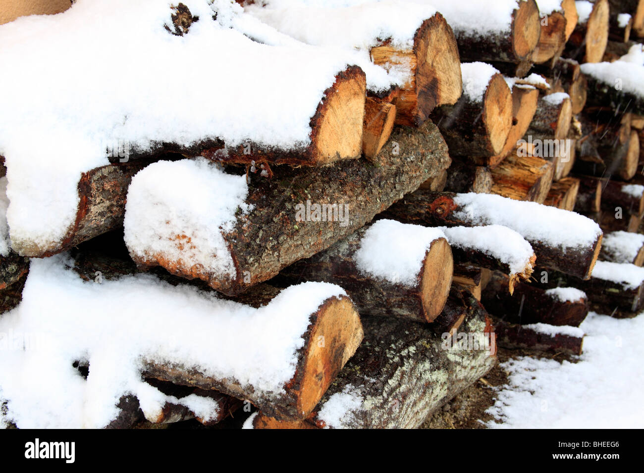 Registra con neve Foto Stock