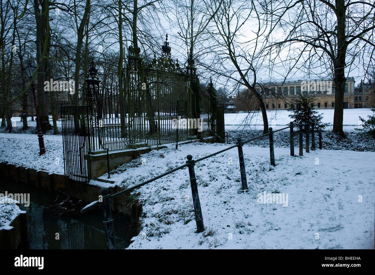 Università di Cambridge spalle nella neve Foto Stock
