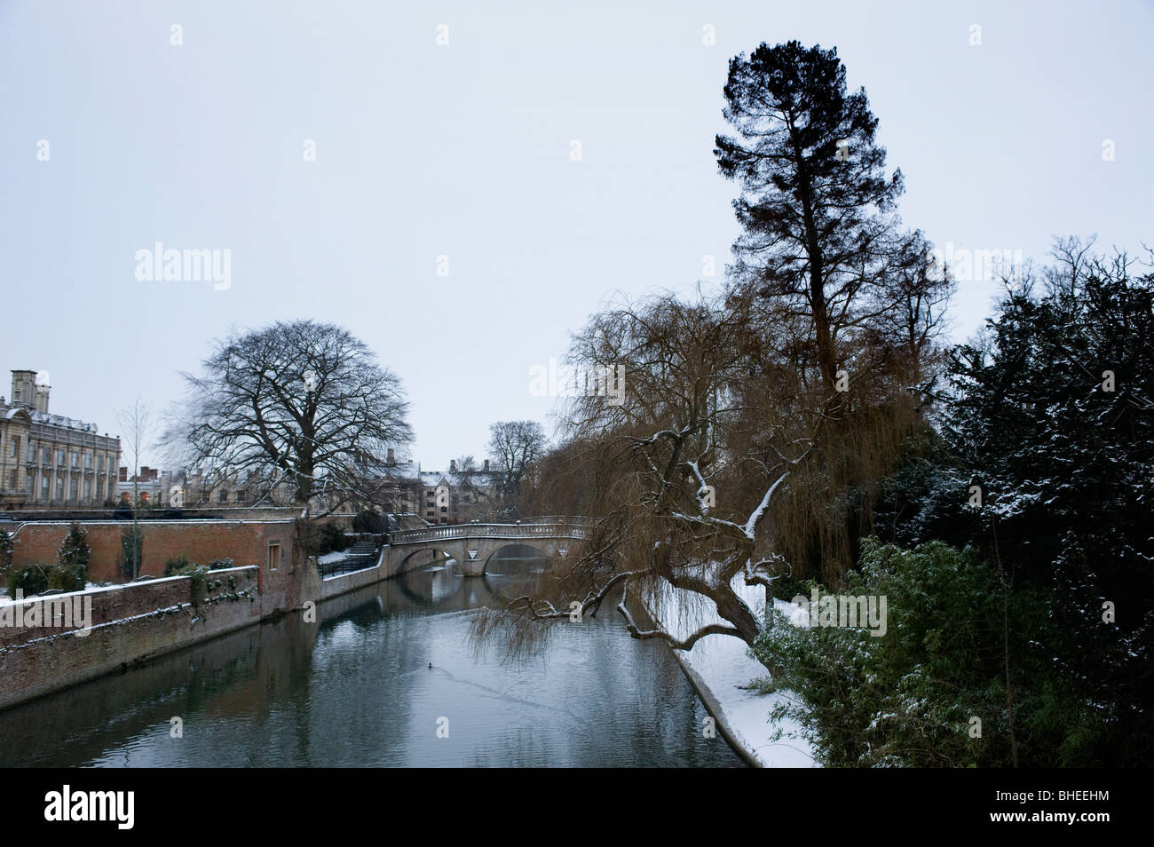 Università di Cambridge spalle nella neve Foto Stock
