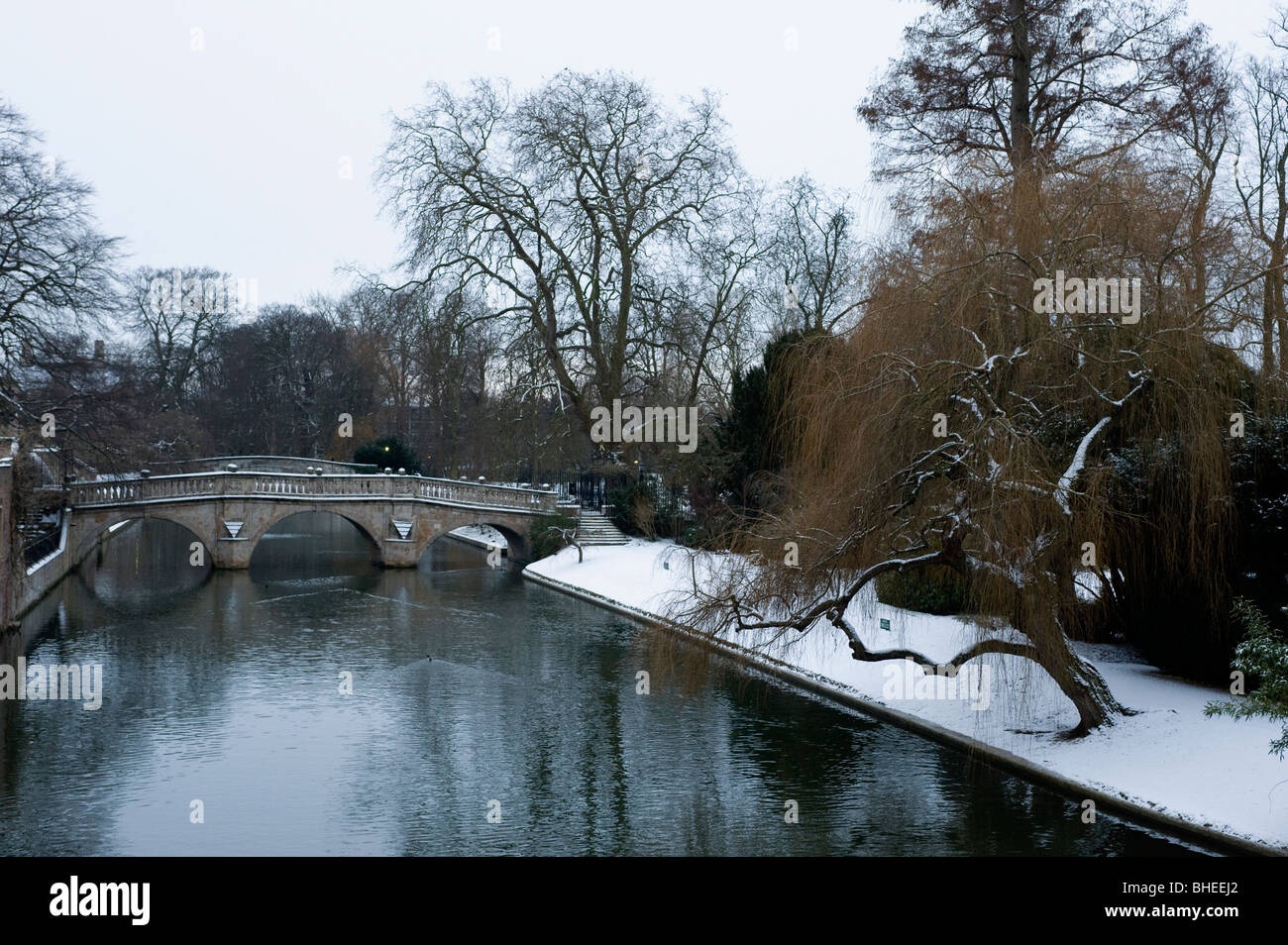 Università di Cambridge spalle nella neve Foto Stock