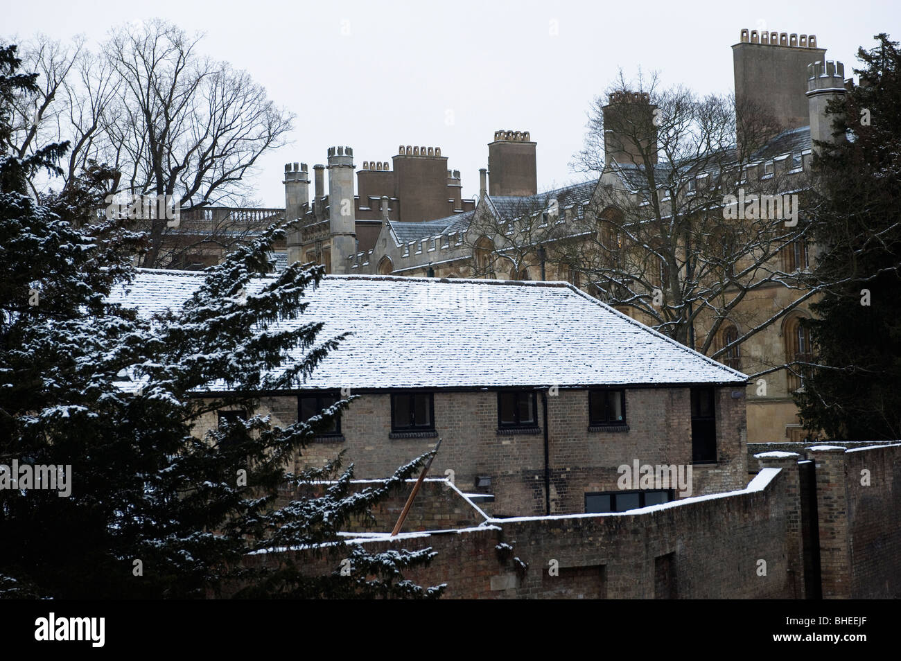 Università di Cambridge spalle nella neve Foto Stock