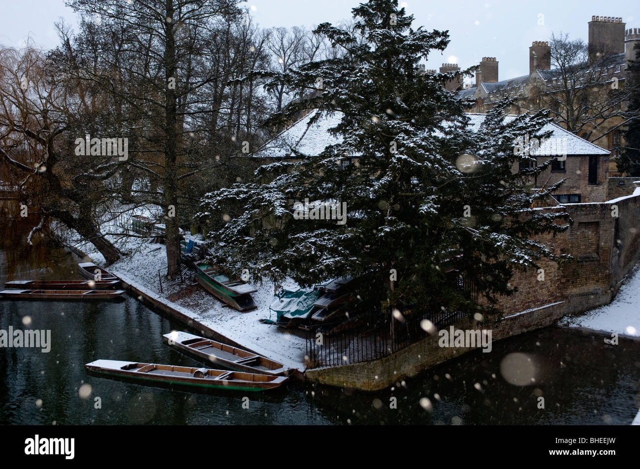 Università di Cambridge spalle nella neve Foto Stock