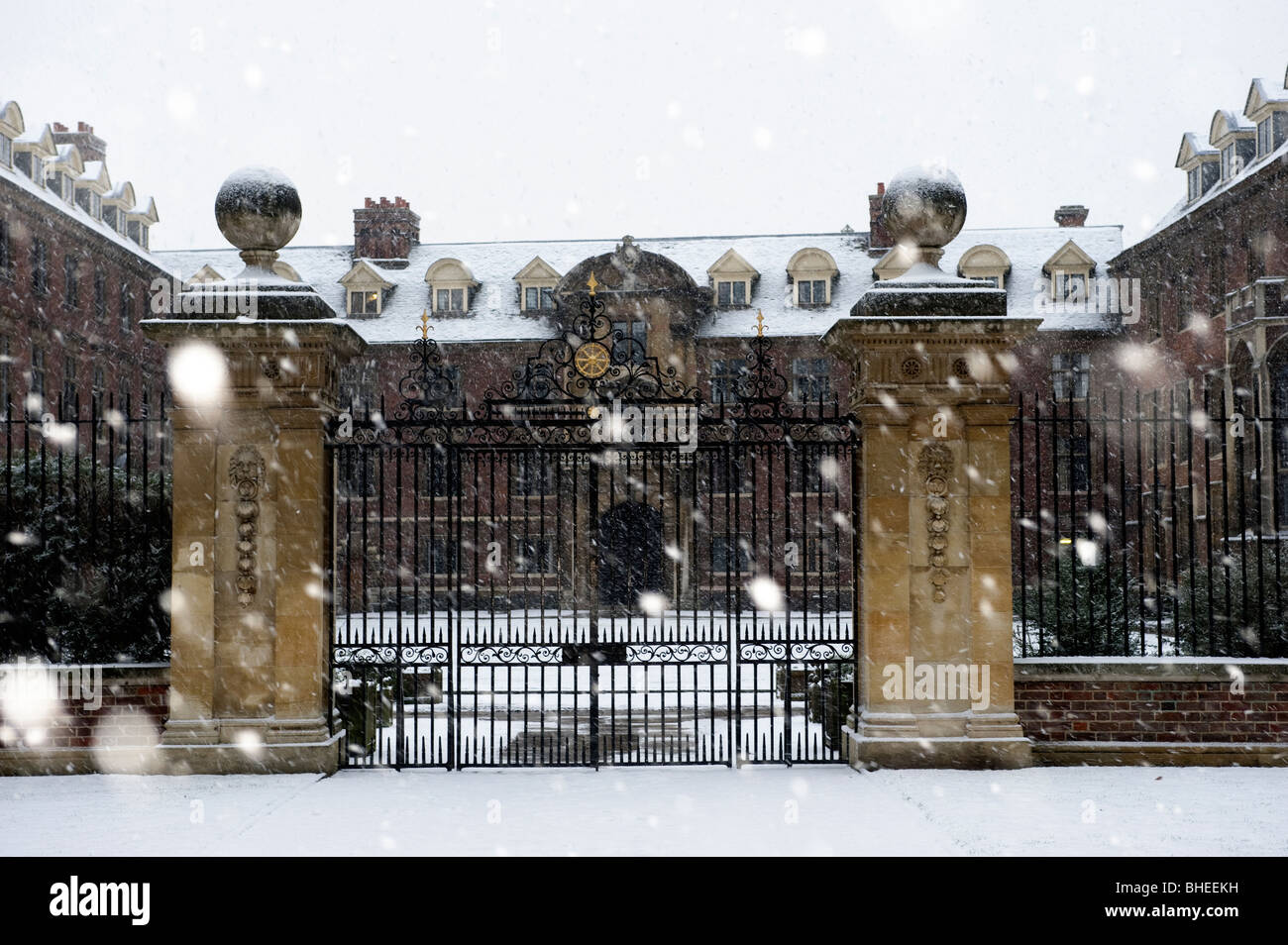 Università di Cambridge spalle nella neve Foto Stock