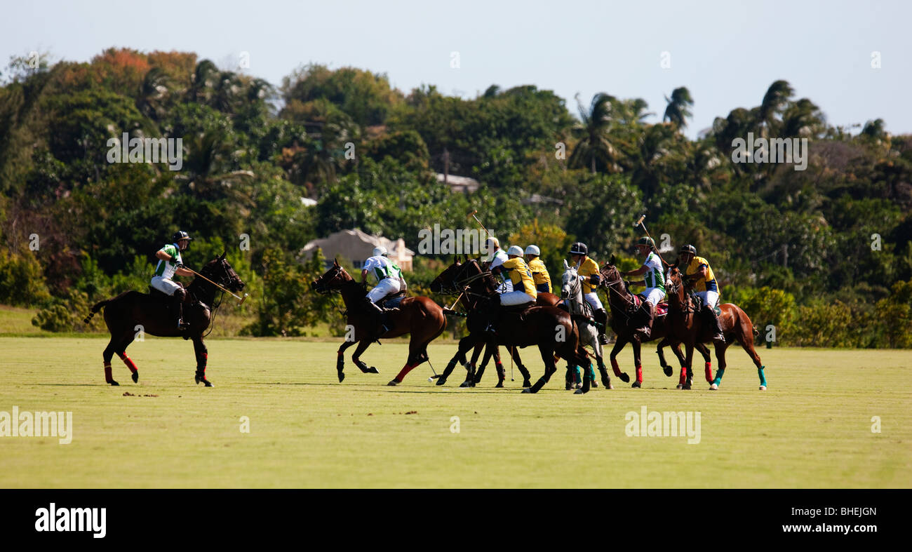 Una partita di polo in corso presso le scimmie Hill polo ground sull'isola caraibica di Barbados Foto Stock