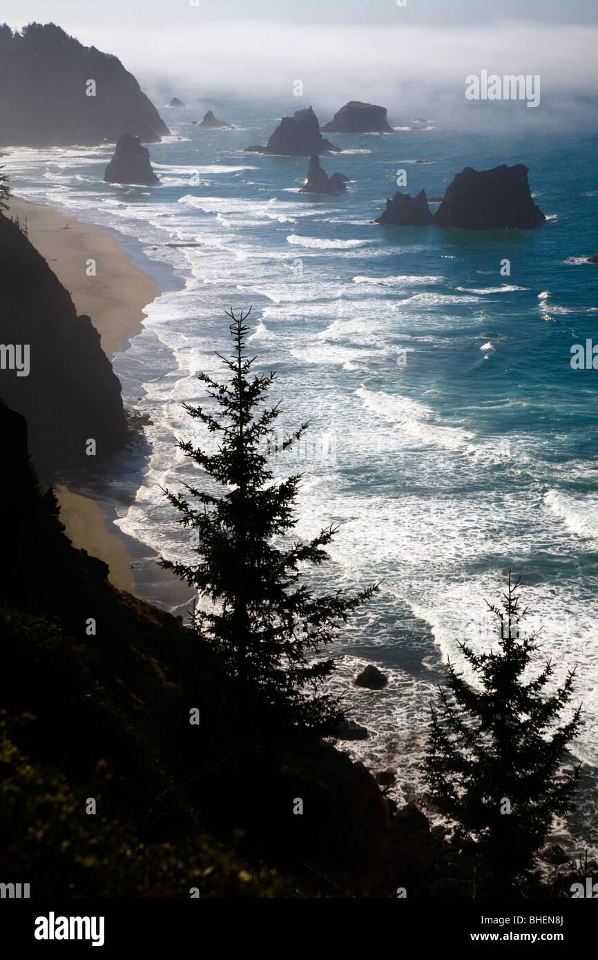 Un banco di nebbia rotoli in dall'Oceano Pacifico sulla costa dell'Oregon nella Samuel H Boardman parco dello stato , USA, 2009 Foto Stock