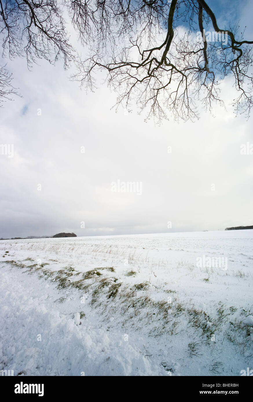 Neve rurale scena, Kent, Inghilterra Foto Stock