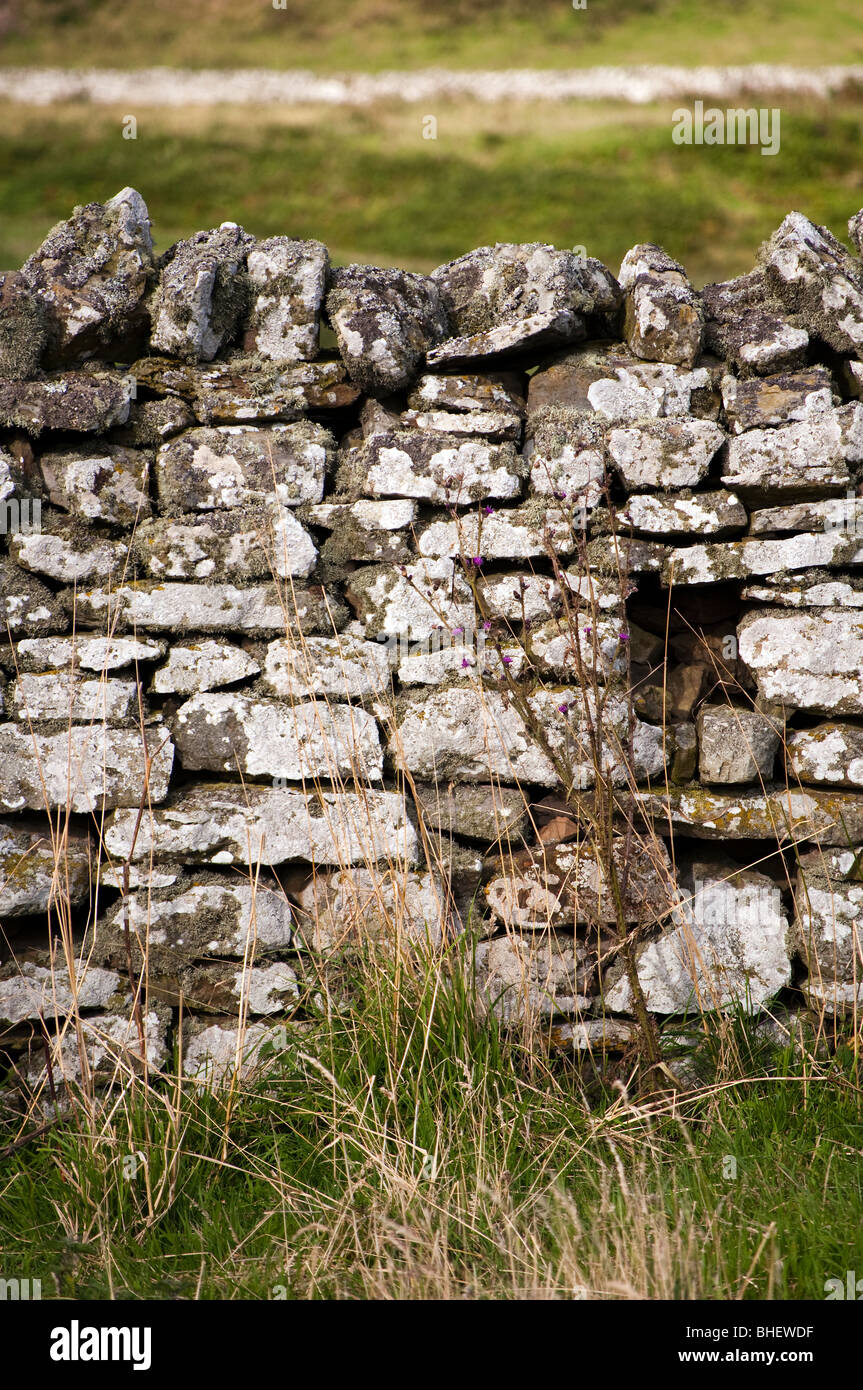 Muro di pietra a secco Foto Stock