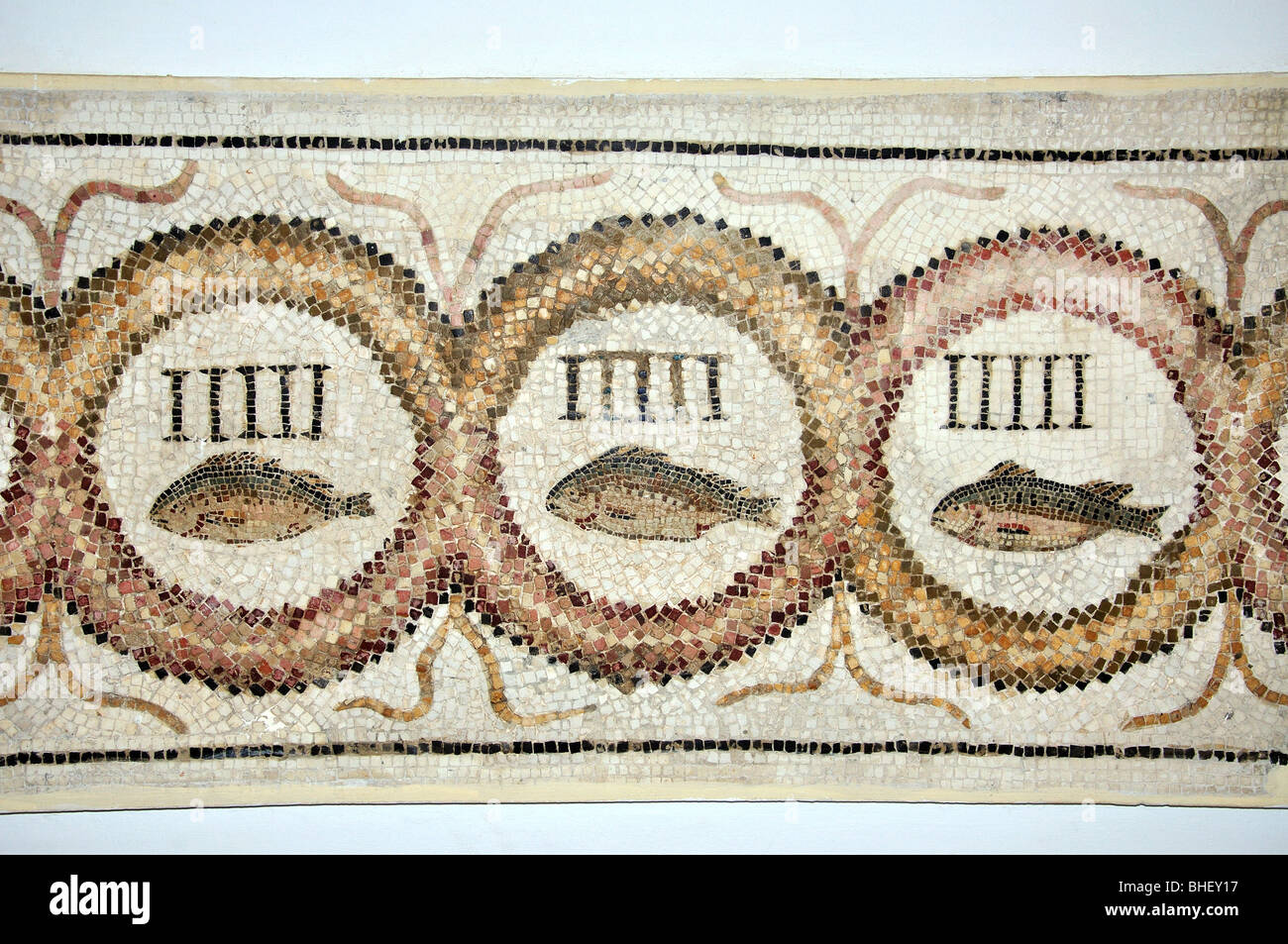 "Cinque porte di pesce' mosaico, El Djem Museo Archeologico, El Djem, Mahdia Governatorato, Tunisia Foto Stock
