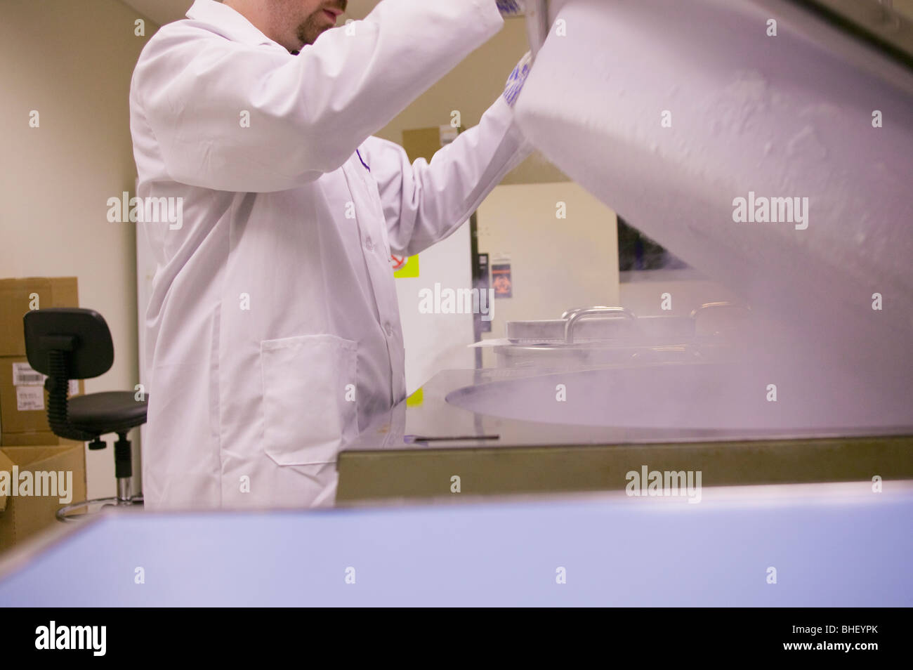 Scienziato che lavora su un liquido contenitore di azoto Foto Stock