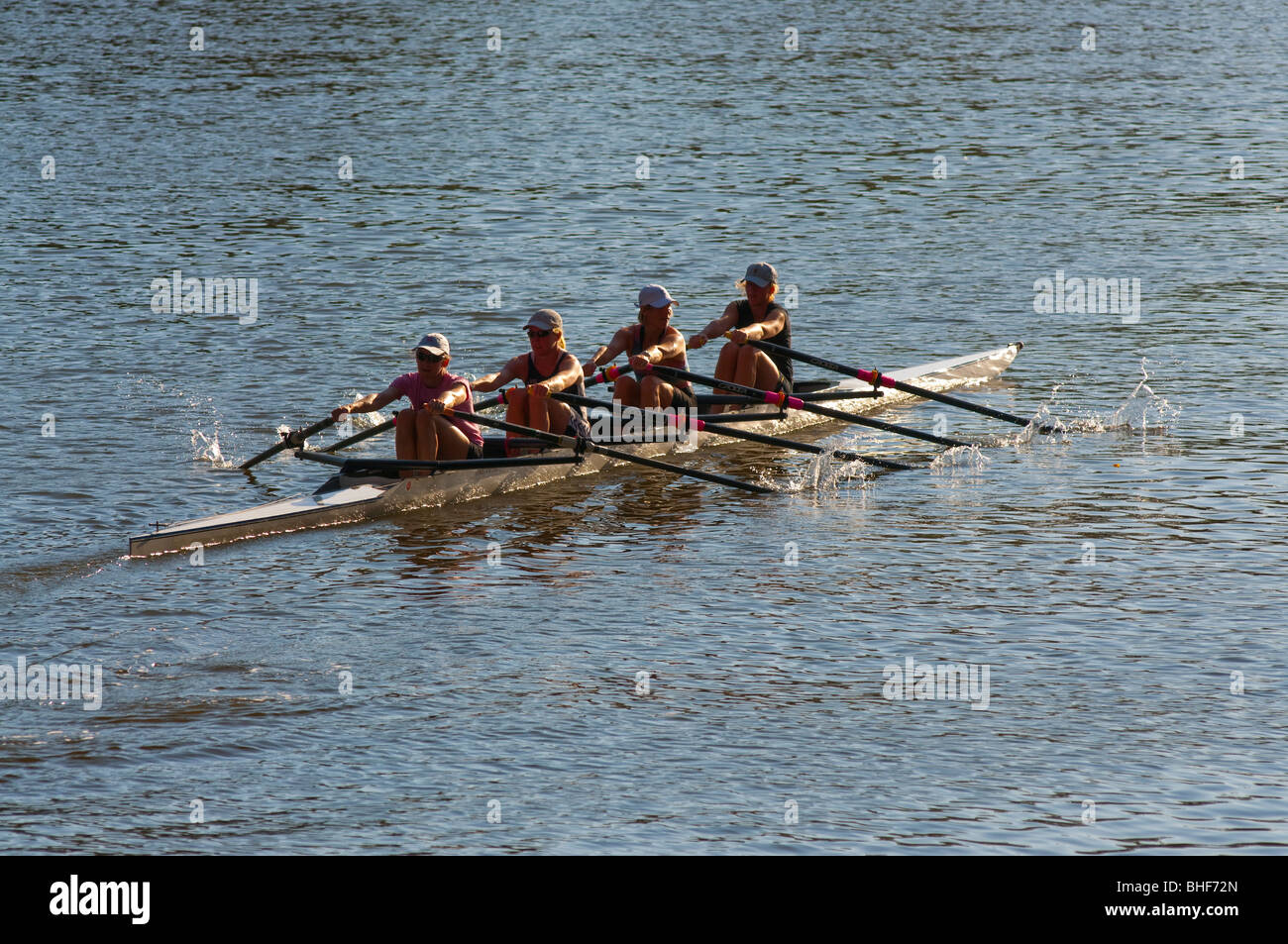 Un' womans fours rowing team training sul Fiume Yarra di Melbourne Foto Stock