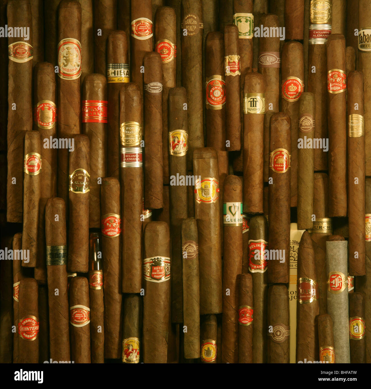 Sigari cubani, Close-up, Cuba, Caraibi, America del Nord, Amerika Foto Stock