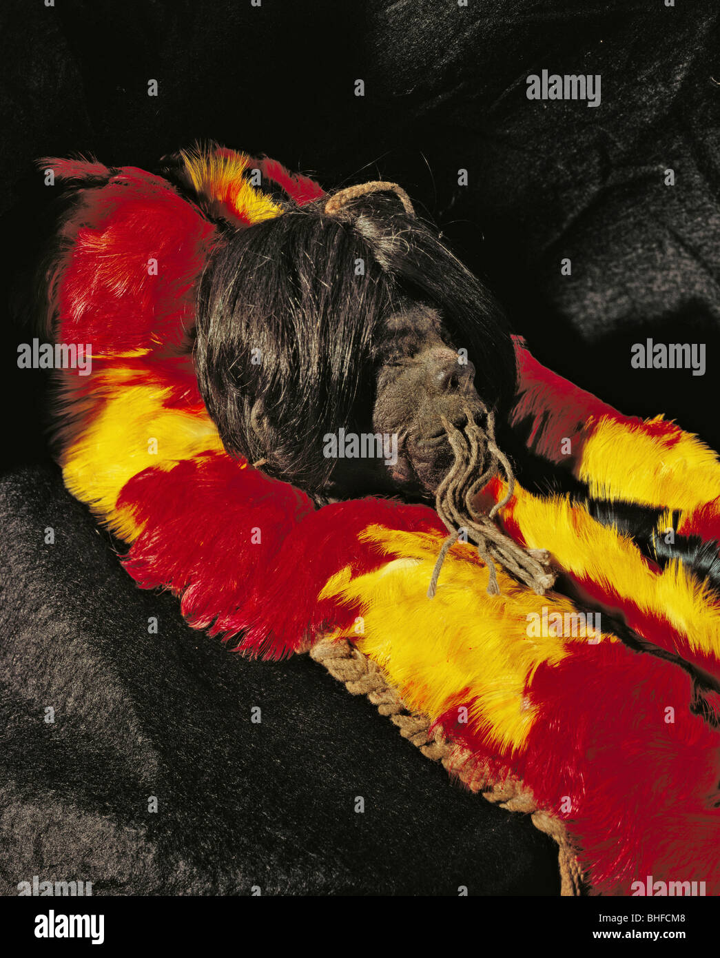 Geografia / viaggi, Ecuador, tradizione, Shuar il restringimento di testa, collezione privata, Capo Caccia, i nativi americani, indios, Jibar Foto Stock