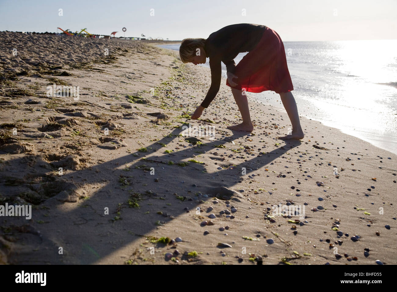 Giovani donne raccolta di conchiglie di mare al sole del mattino, spiaggia sul Ilhe de Tavira, Signor, Tavira, Algarve, PORTOGALLO Foto Stock