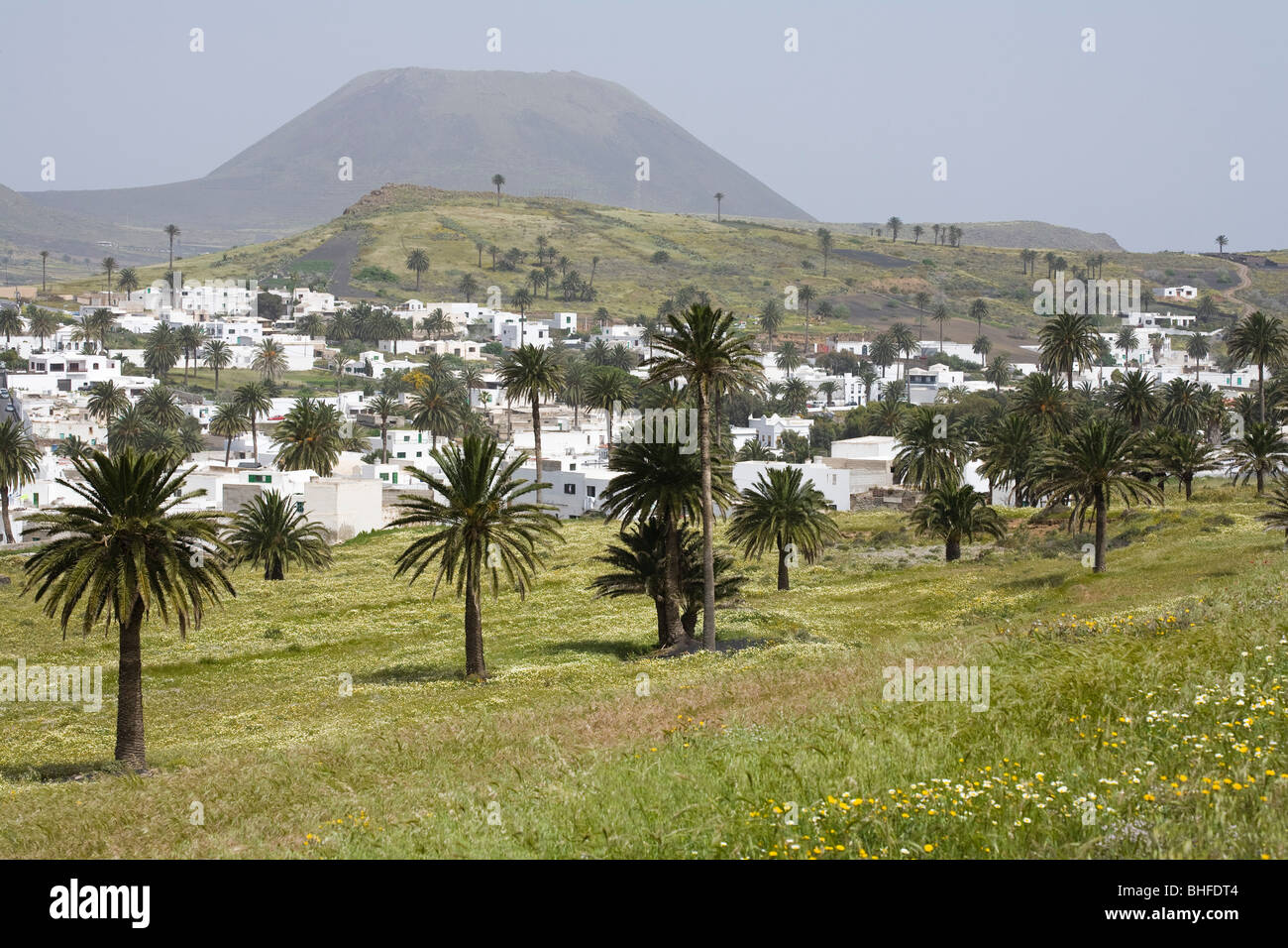 Alberi di palma e il villaggio bianco di Haria e la Valle delle mille palme, vulcani estinti, calima, Riserva della Biosfera dall'UNESCO Foto Stock