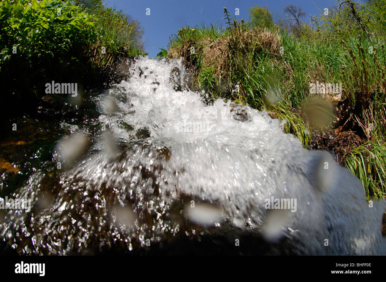 Visualizza in acqua di un flusso con banche erbosa, Alto Adige, Italia, Europa Foto Stock