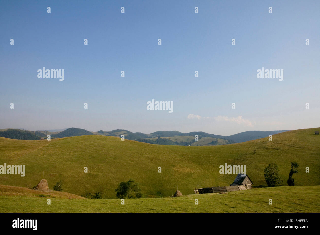 Vista in stalla e pagliaio su un alp, climatica spa Paltinisch, Transilvania, Romania, Europa Foto Stock