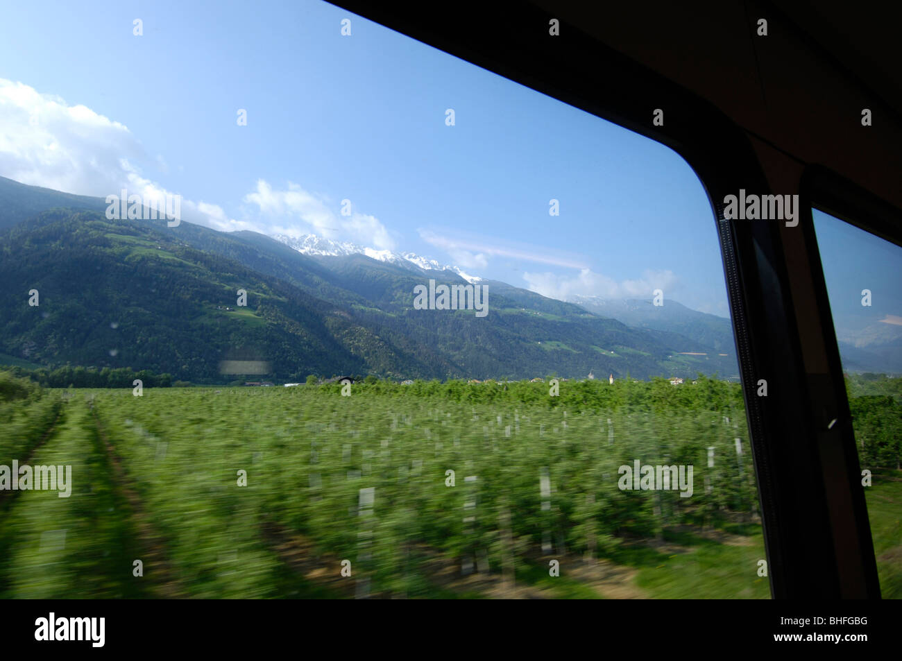 Vista dalla finestra del treno, apple orchard, viaggia attraverso la Val Venosta con la ferrovia Vinschger, trasporti, Val Venosta, Sout Foto Stock