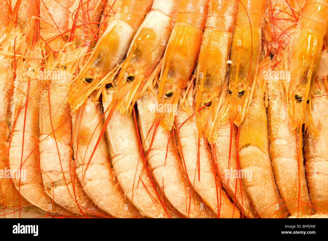 Immagine ravvicinata di alcuni congelati gli scampi Foto Stock