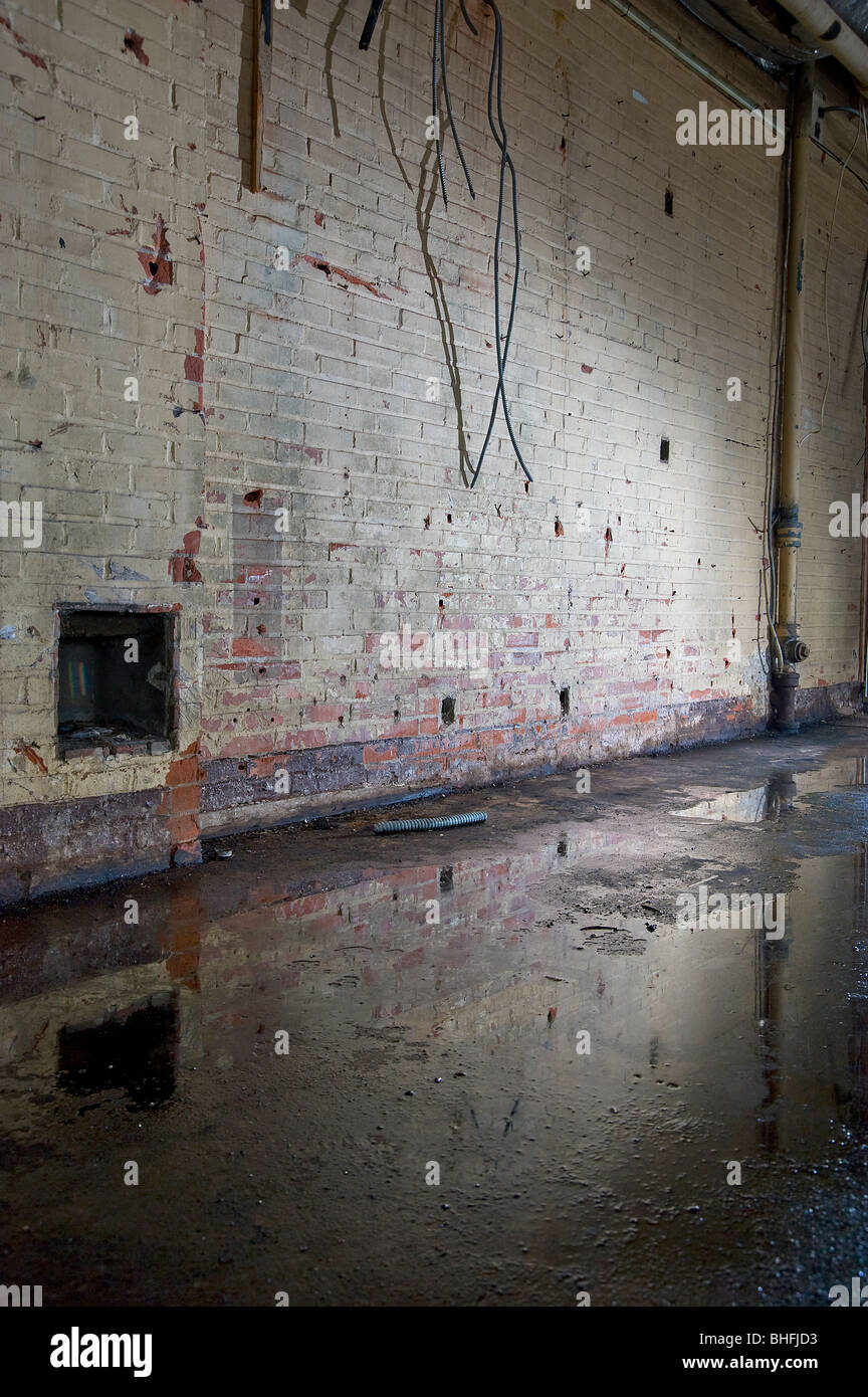 Pozza d'acqua e pareti scrostate e parete di mattoni all'interno del vecchio edificio abbandonato, Philadelphia, Stati Uniti d'America Foto Stock